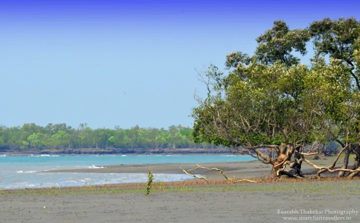 Sundarban National park and tiger reserve