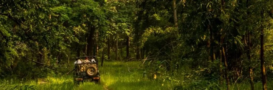 Safari Booking at Umred Karhandla Wildlife Sanctuay jpg