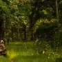 Safari Booking at Umred Karhandla Wildlife Sanctuay jpg